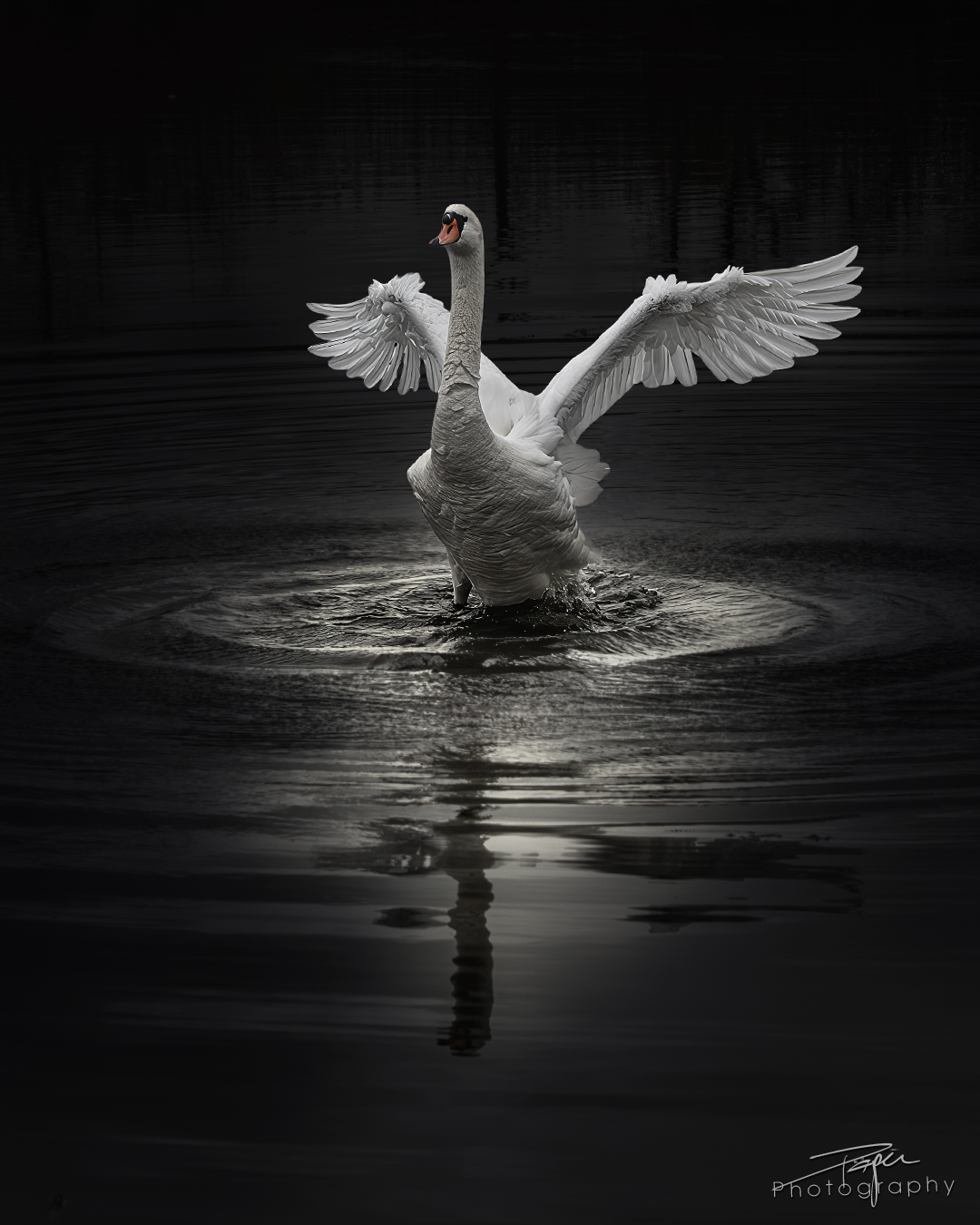 17.04.2025- Frühling