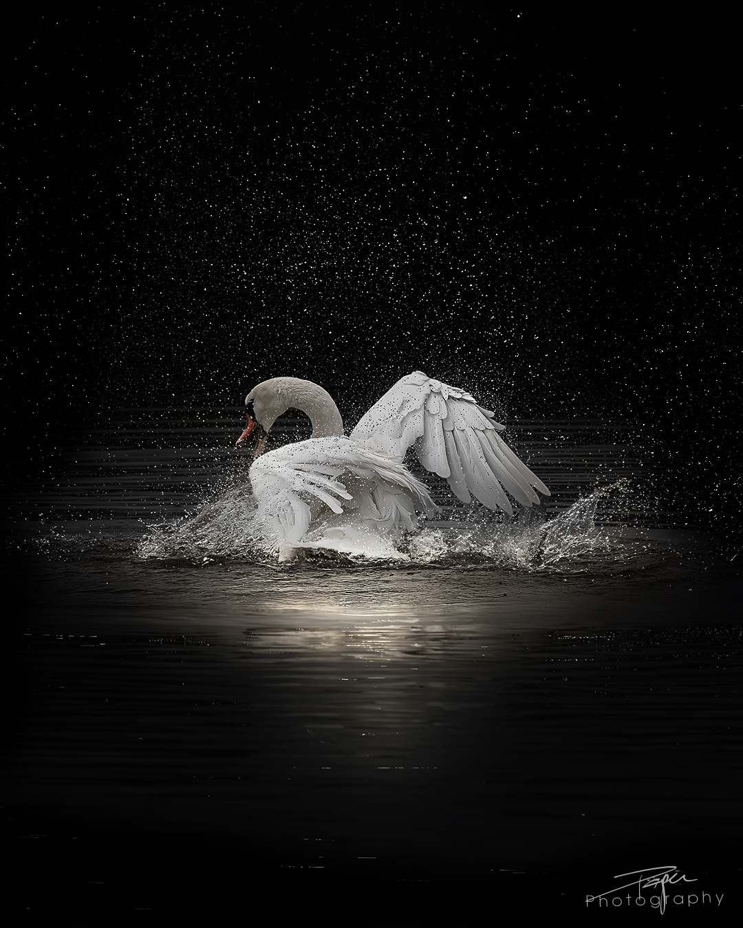 17.04.2025- Frühling