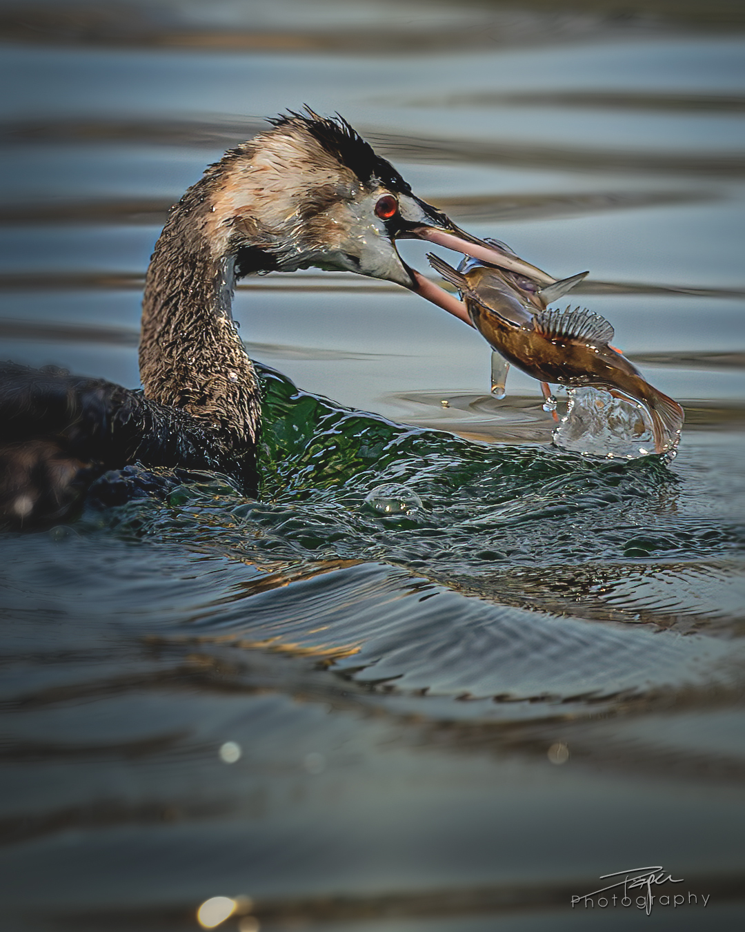 18.03.2025- Frühling