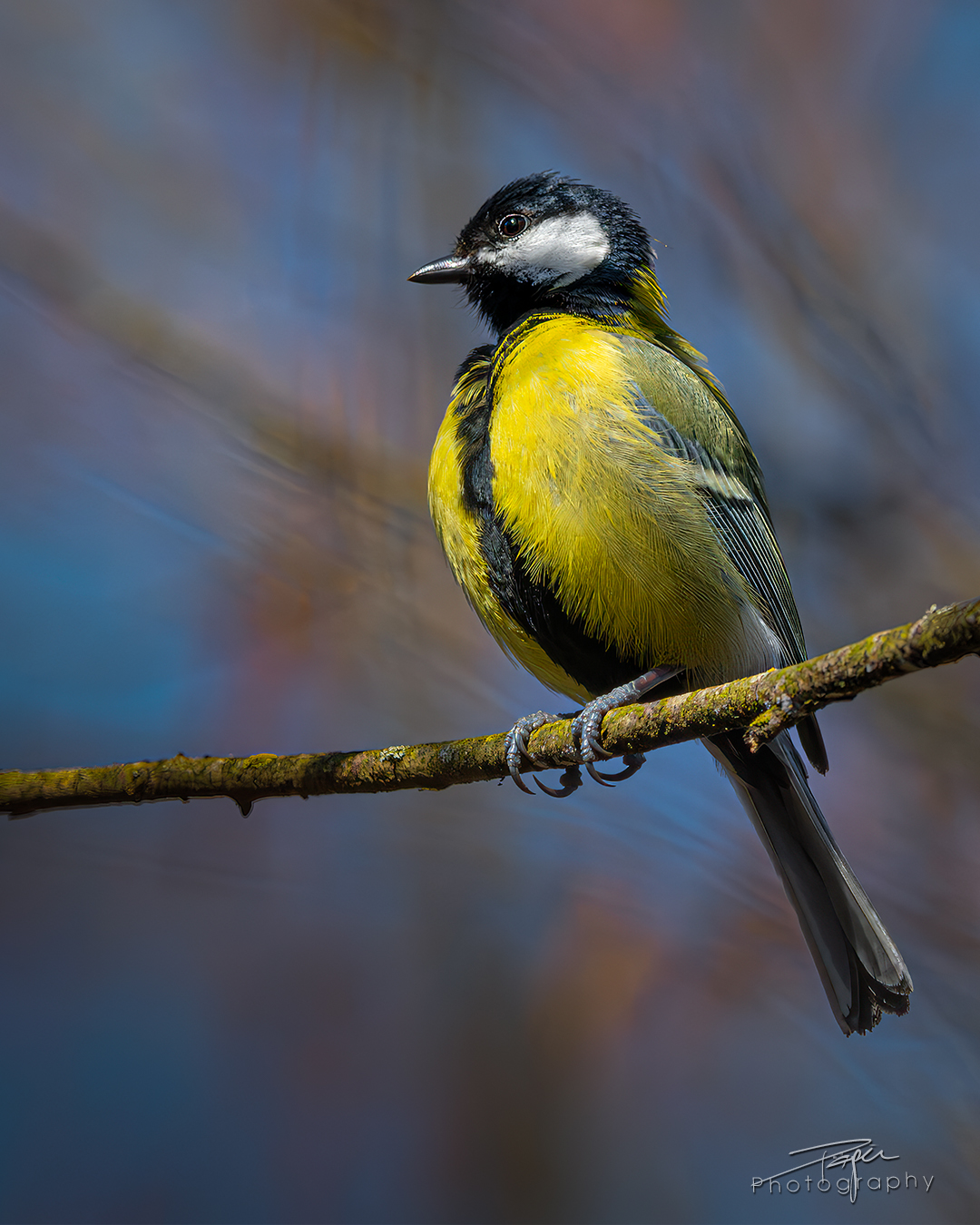 18.03.2025- Frühling