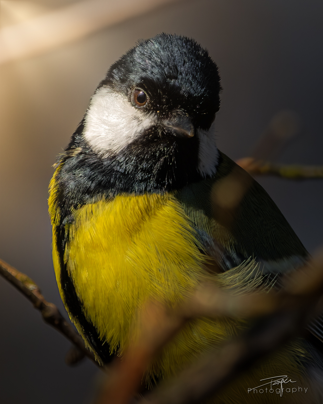 18.03.2025- Frühling