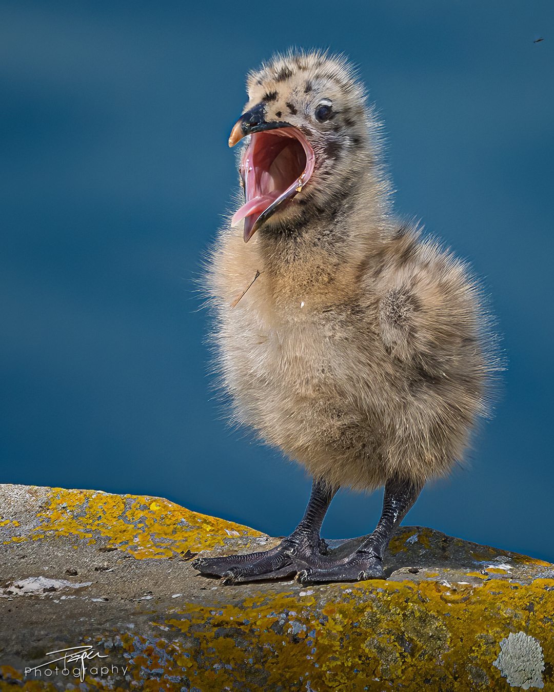 19.05.2025- Frühling