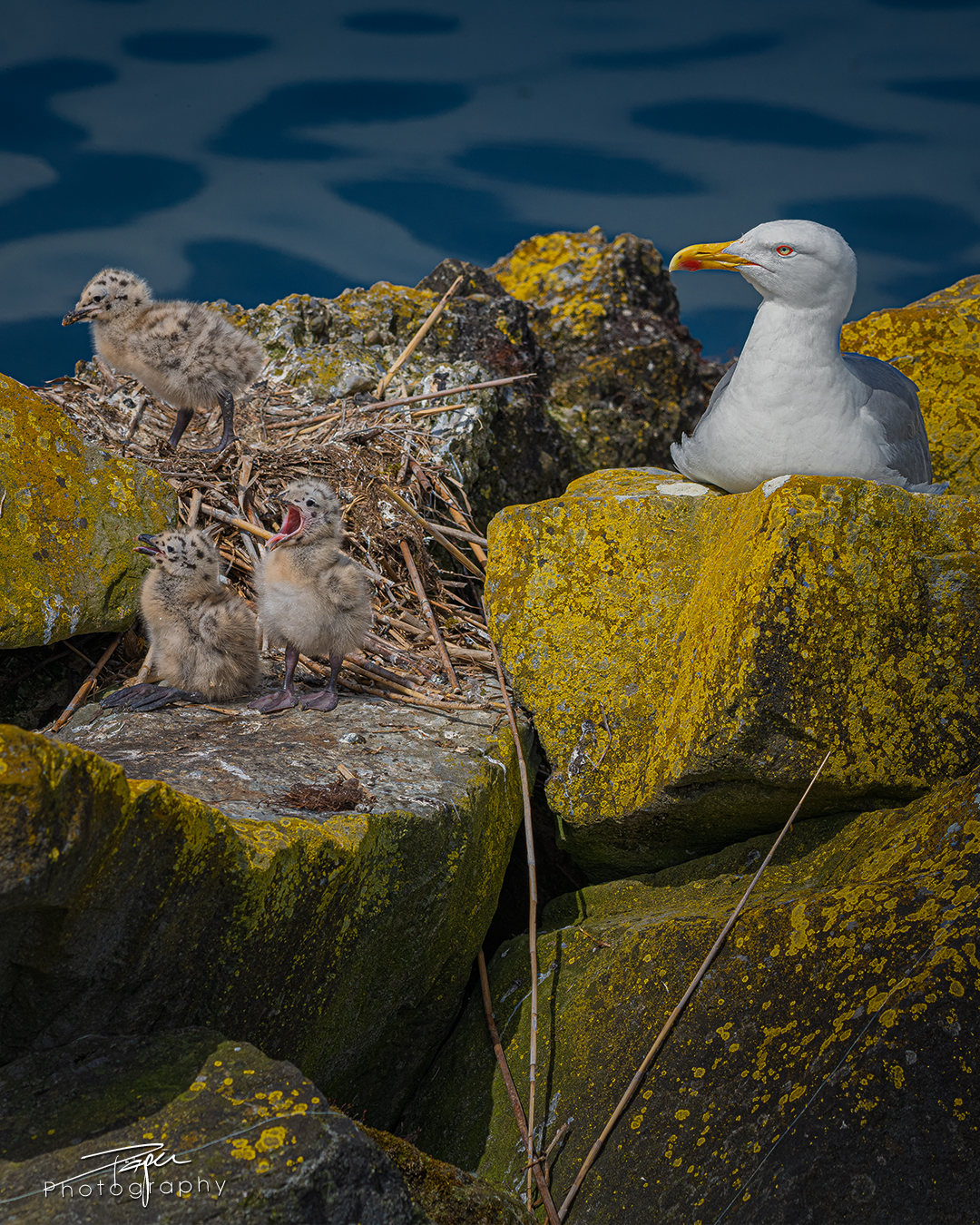 19.05.2025- Frühling
