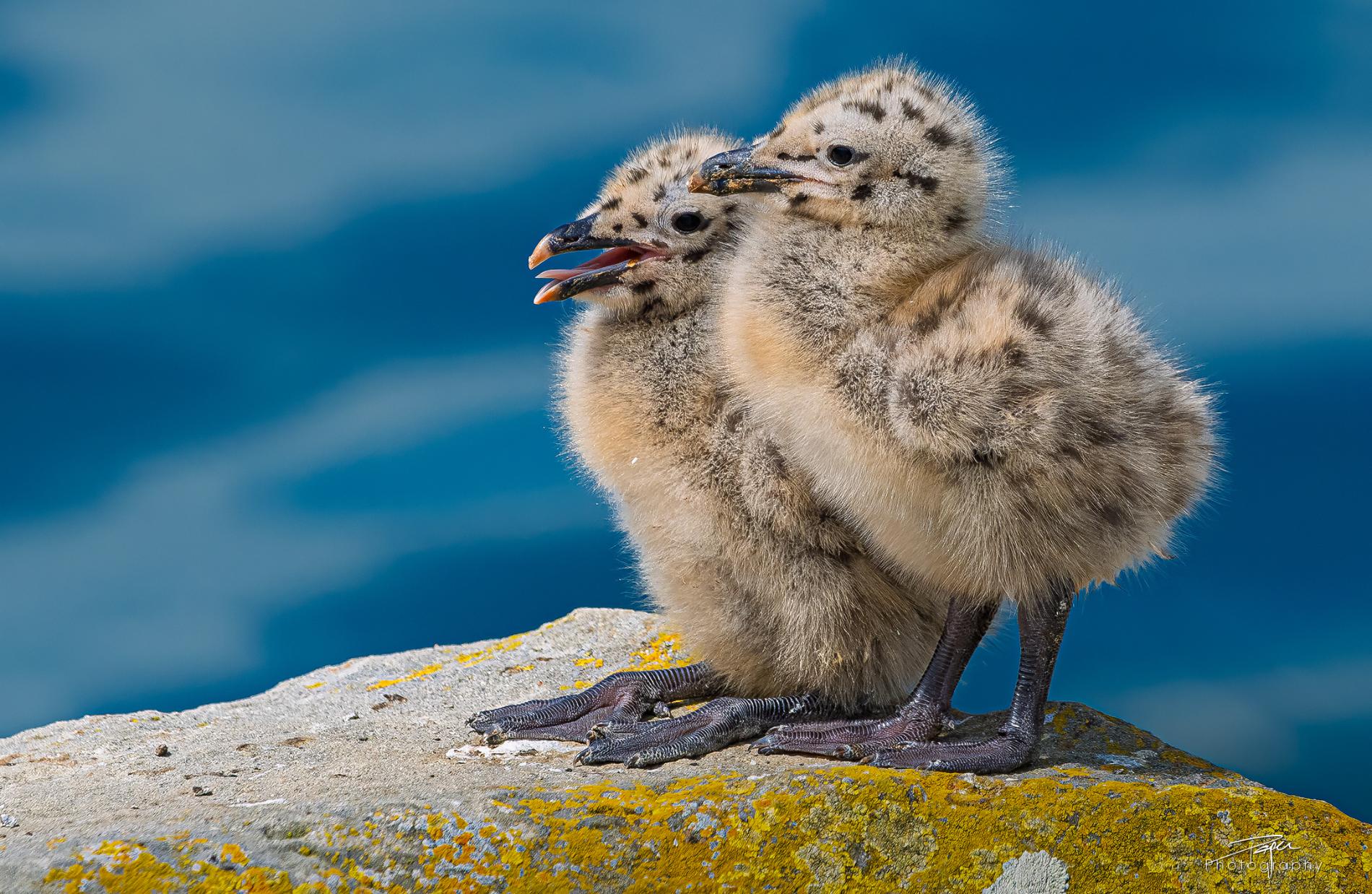 19.05.2025- Frühling