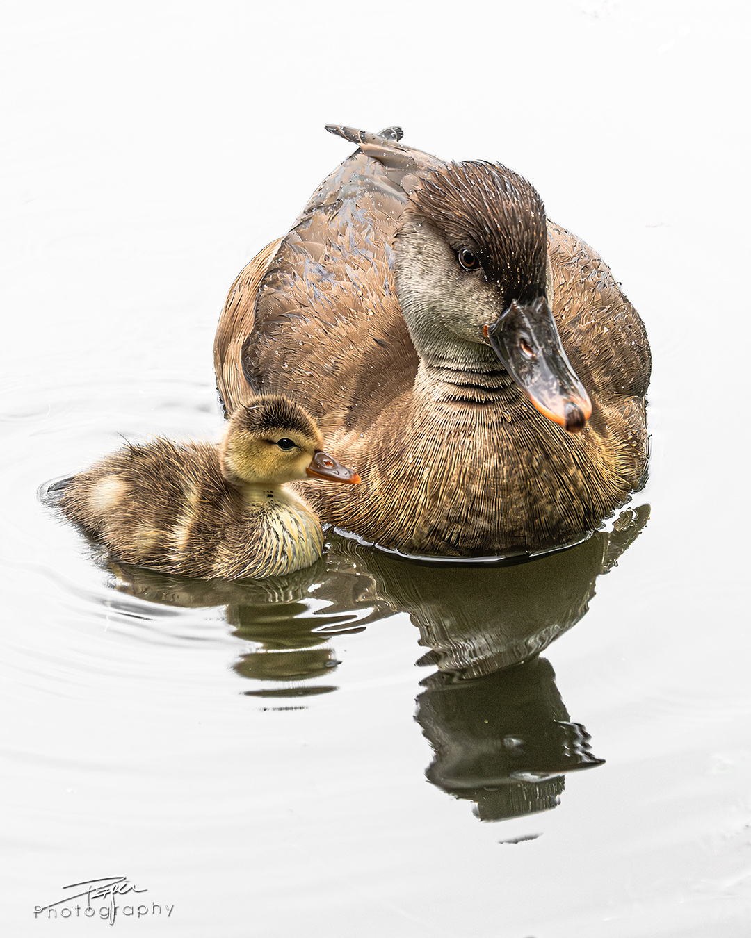 21.05.2025- Frühling