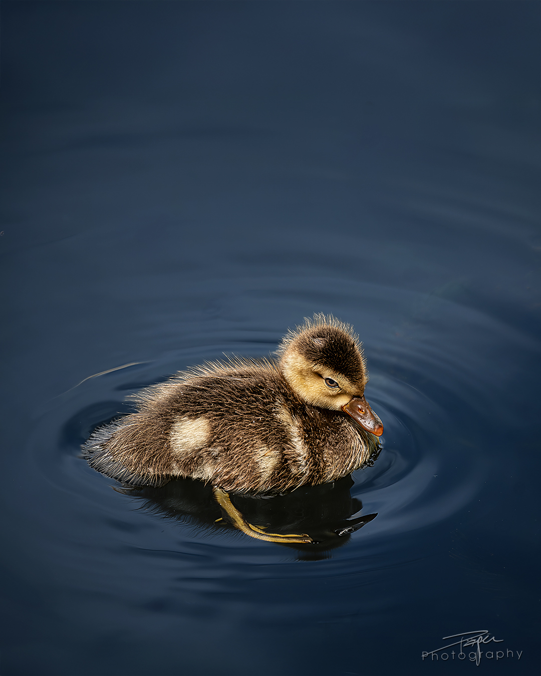 21.05.2025- Frühling