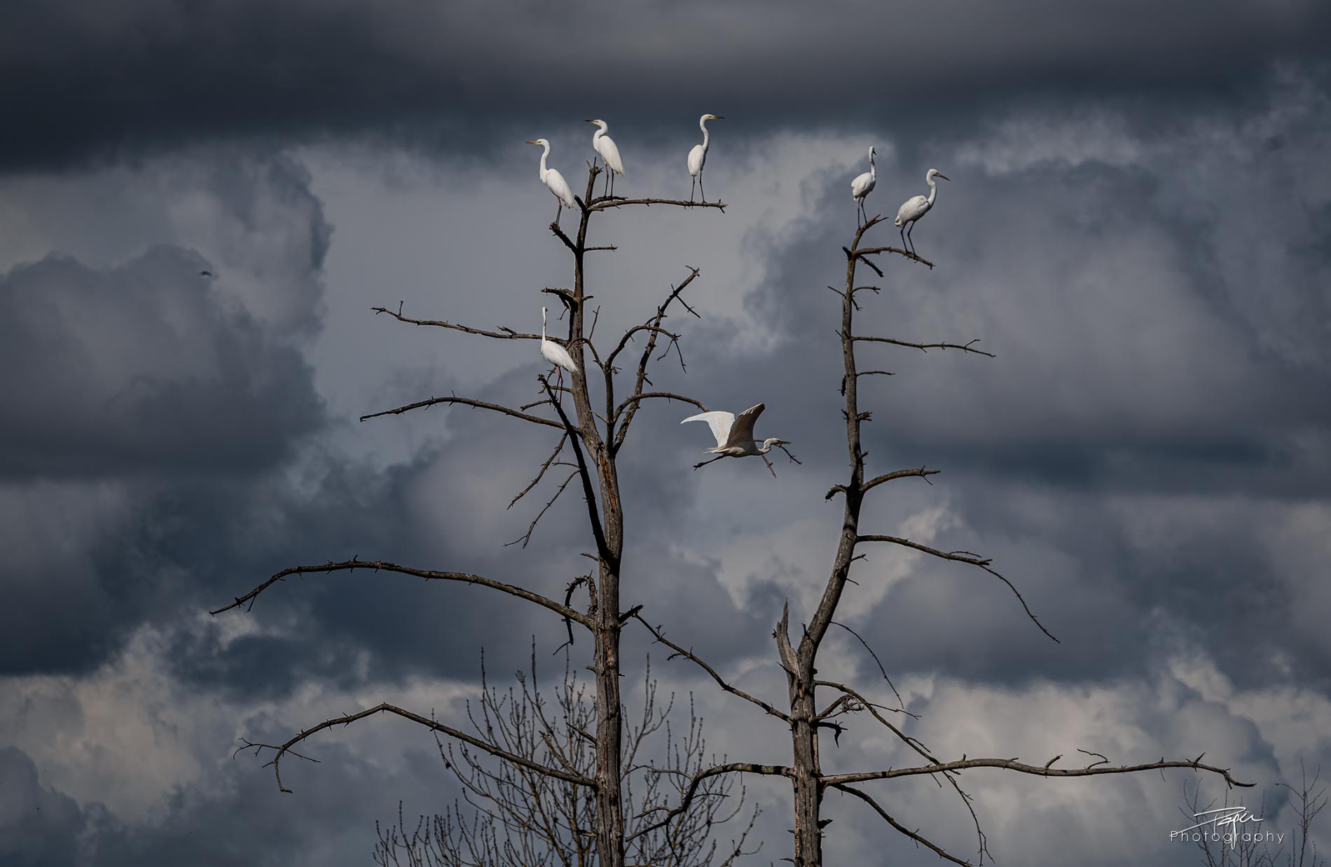 24.03.2025- Frühling