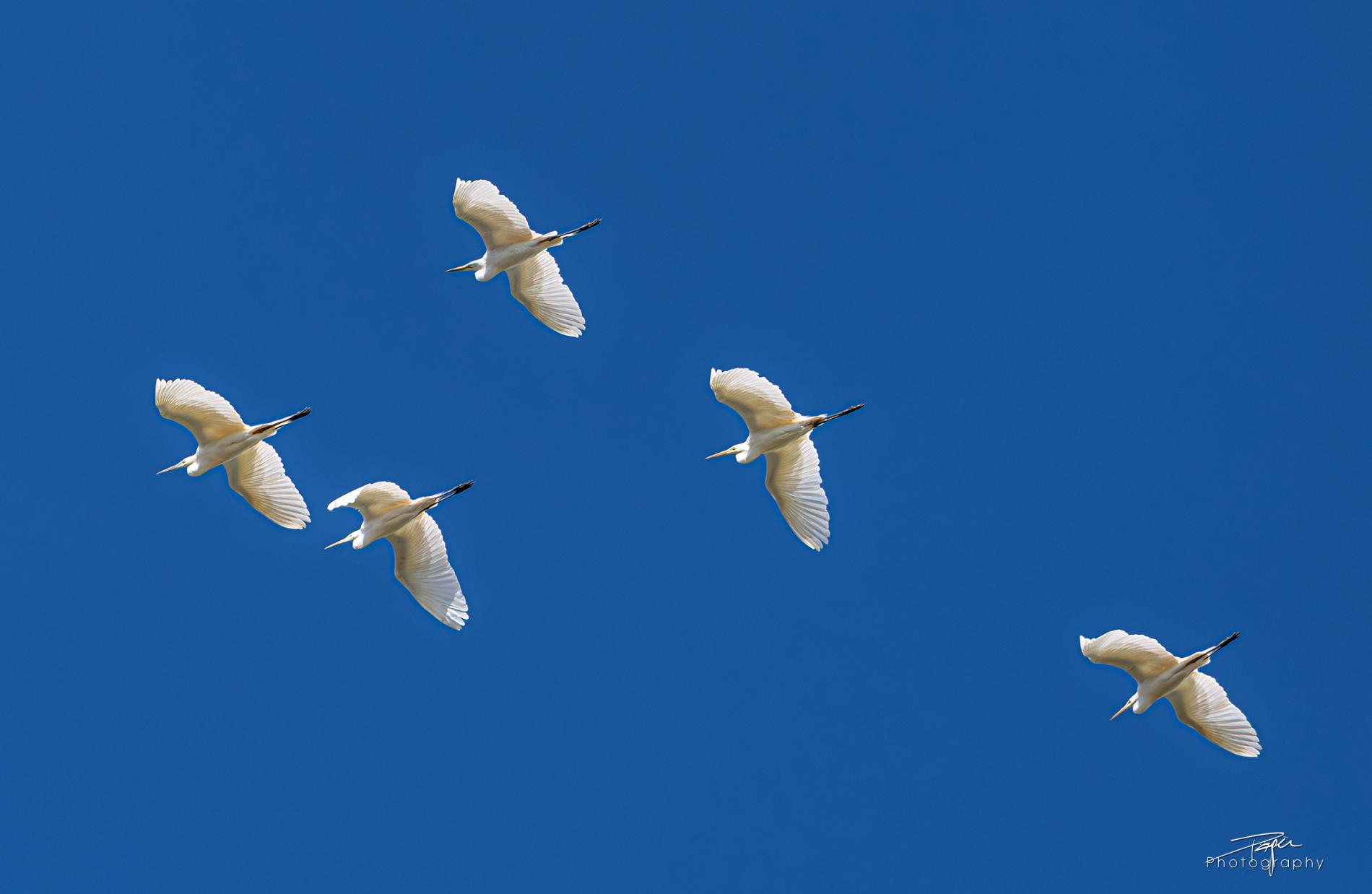 24.03.2025- Frühling