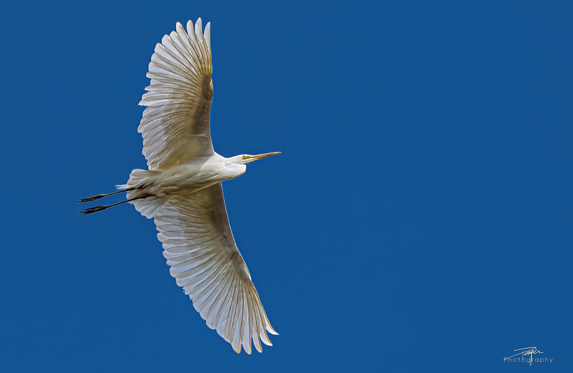 24.03.2025- Frühling