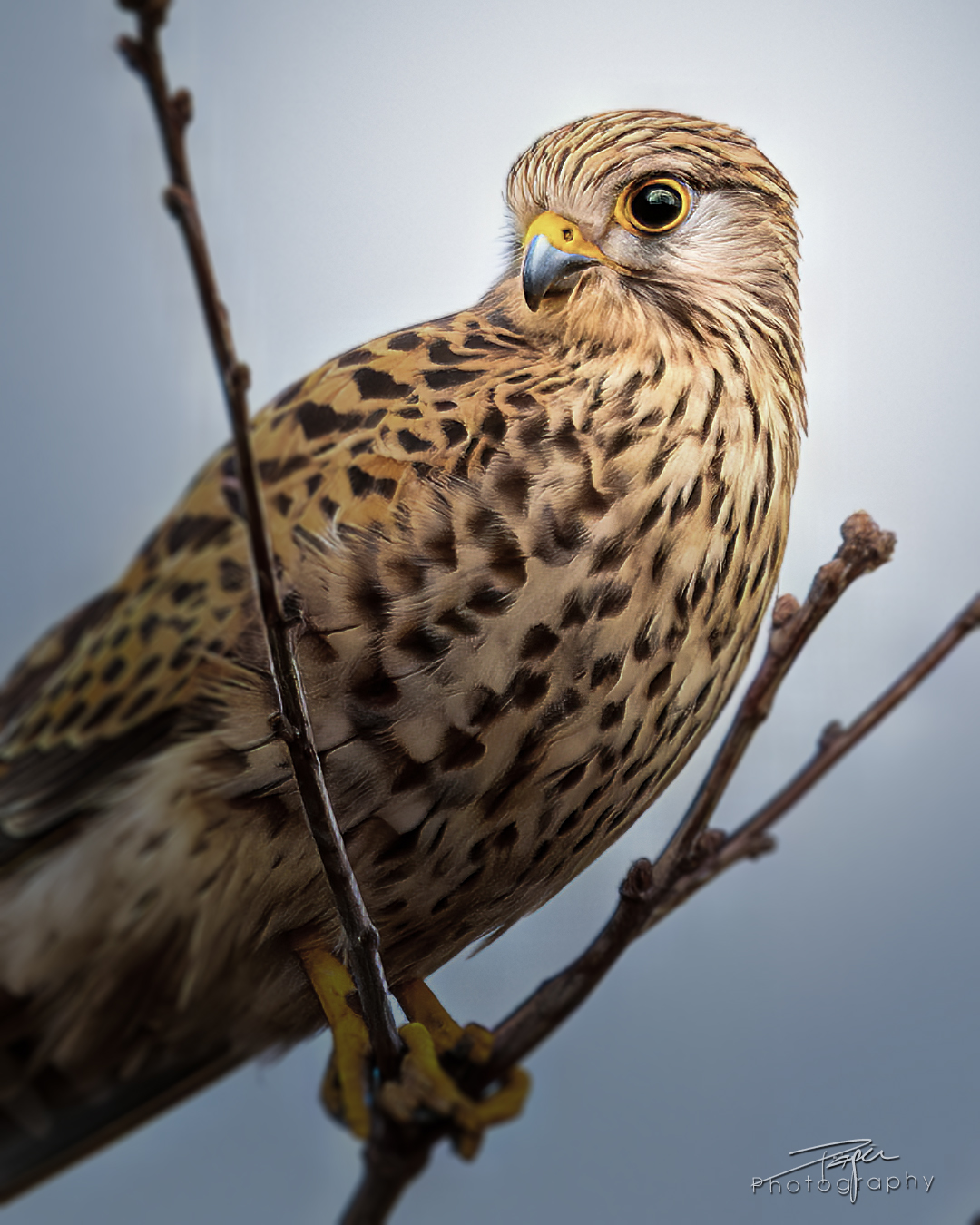 26.03.2025- Frühling