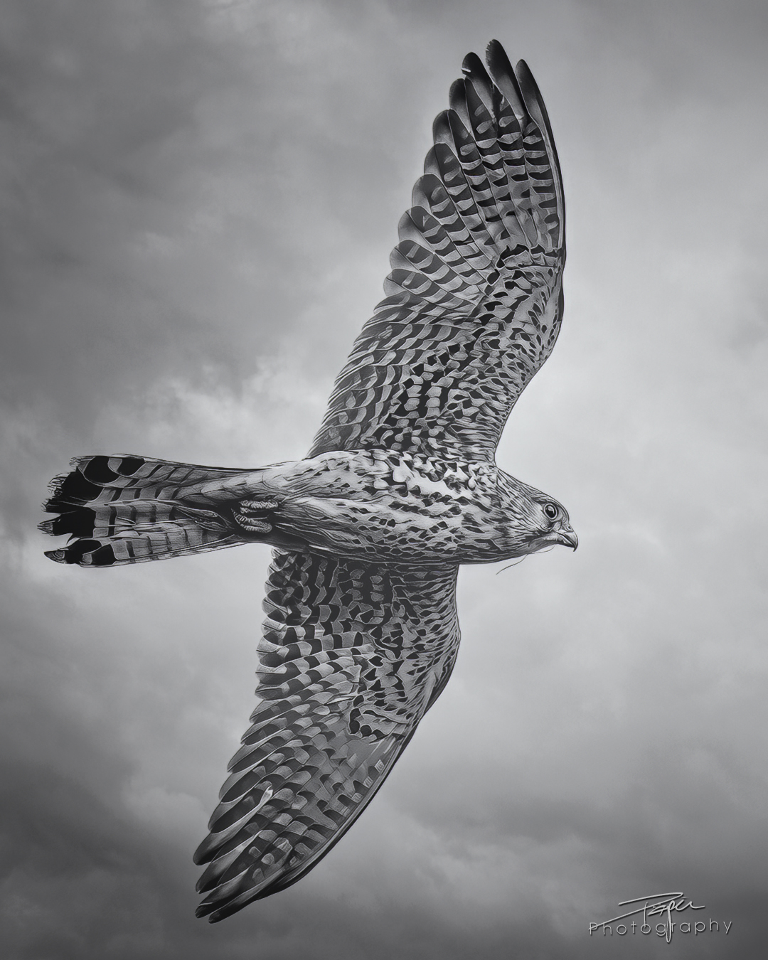 27.03.2025- Frühling