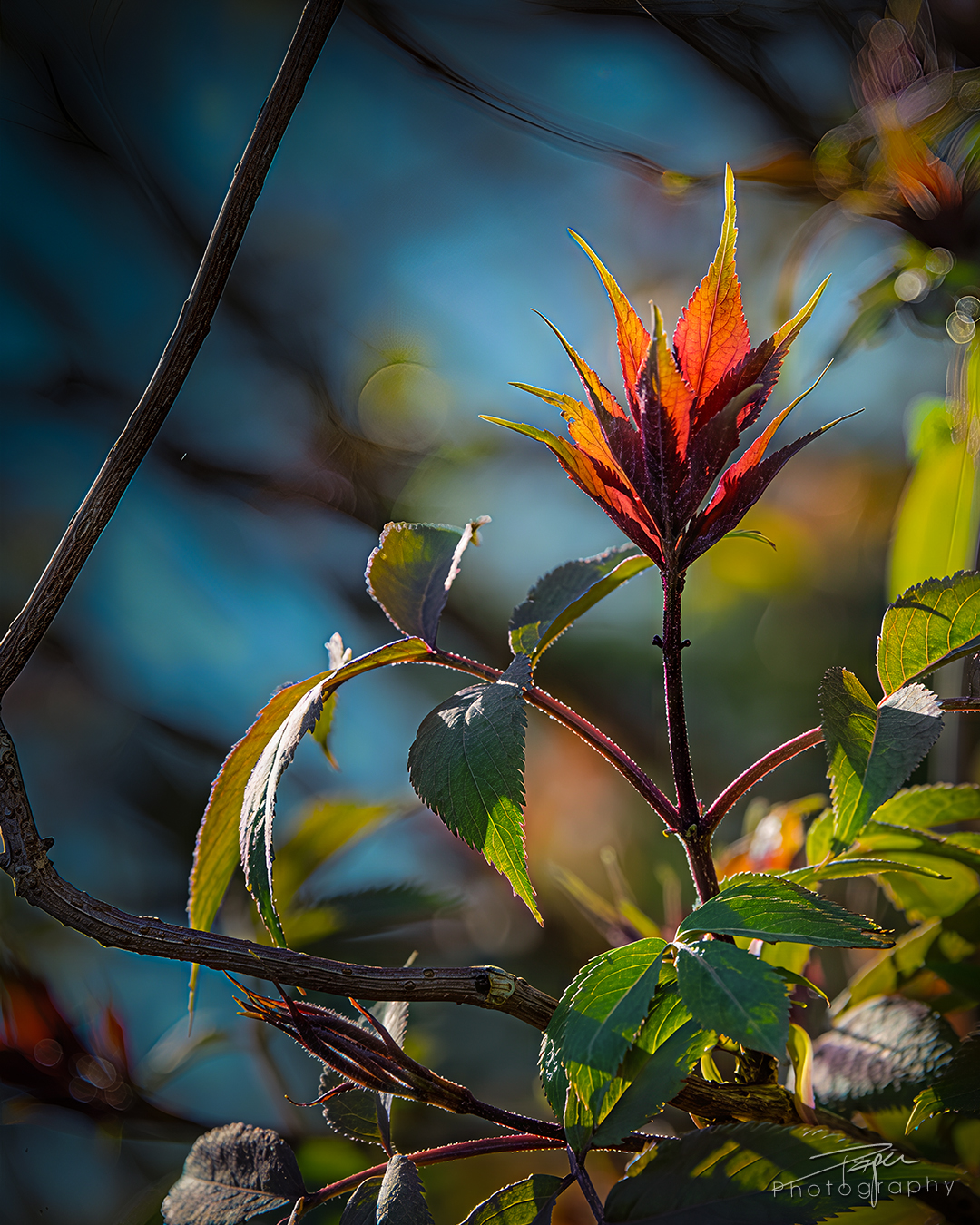08.04.2025- Frühling