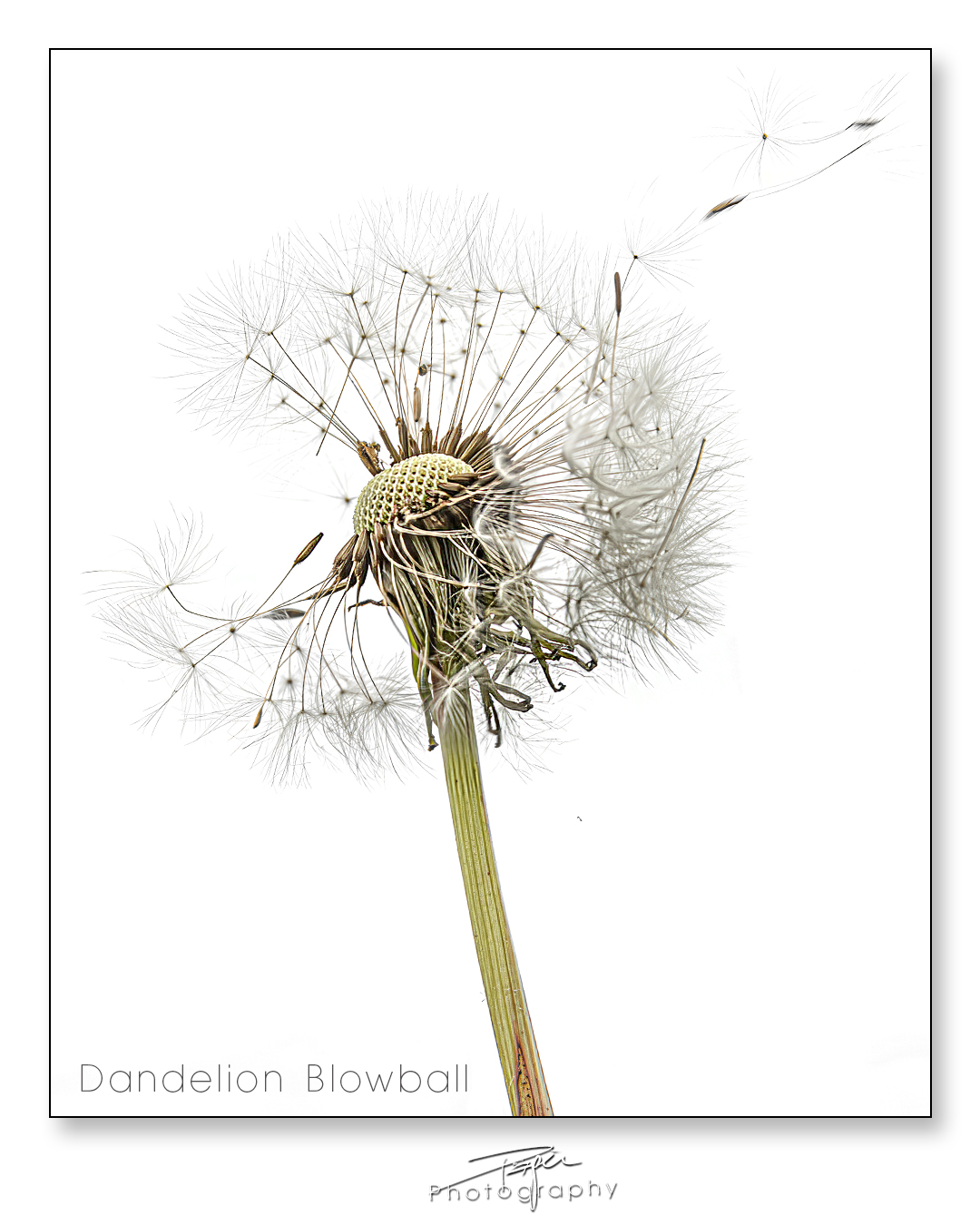 07.05.2025- Frühling