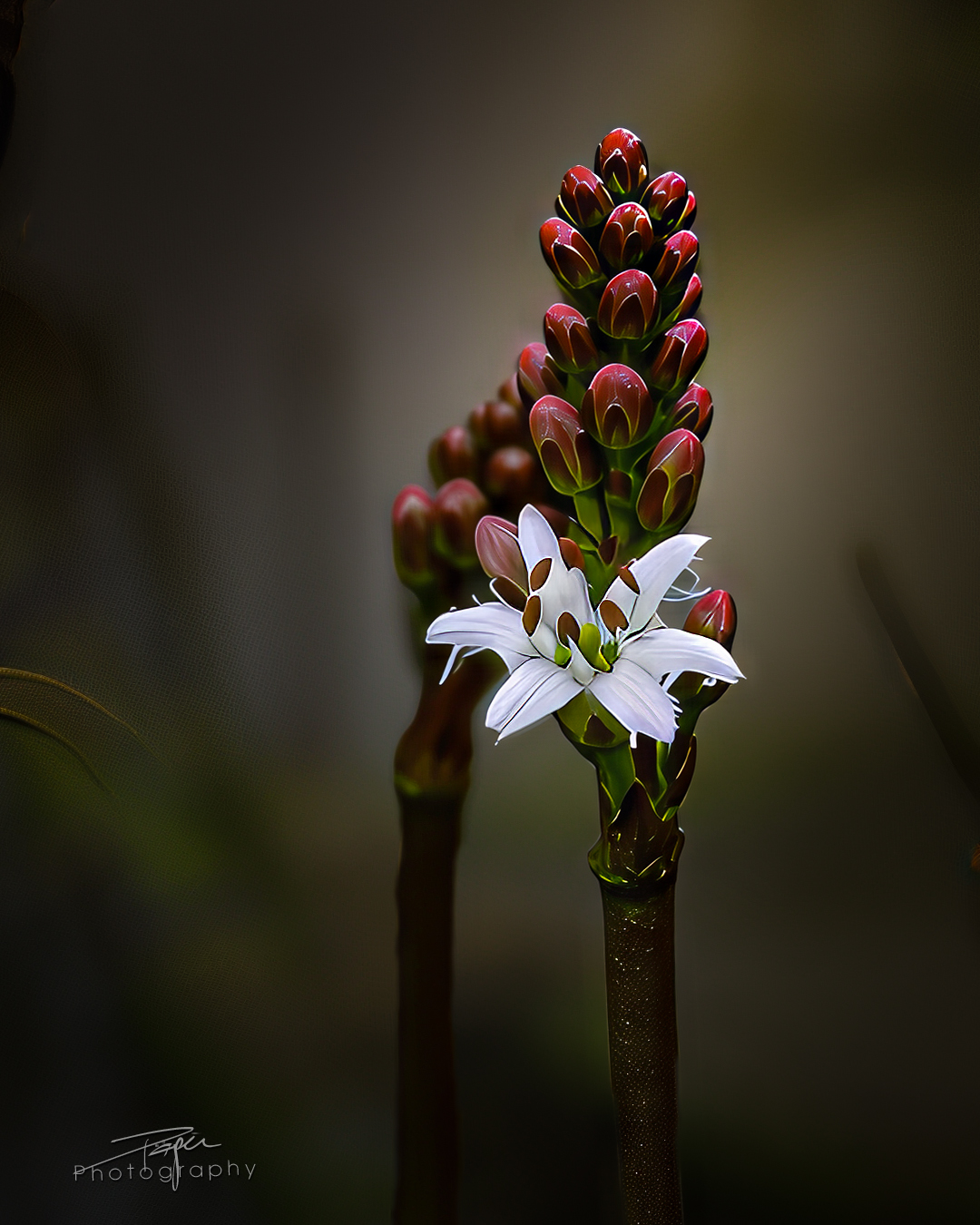 17.04.2025- Frühling