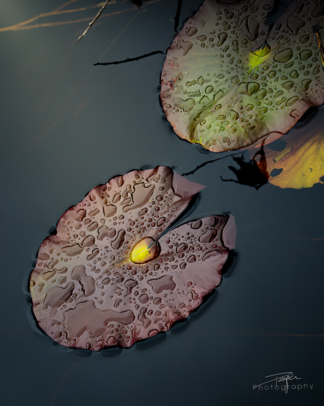 17.04.2025- Frühling