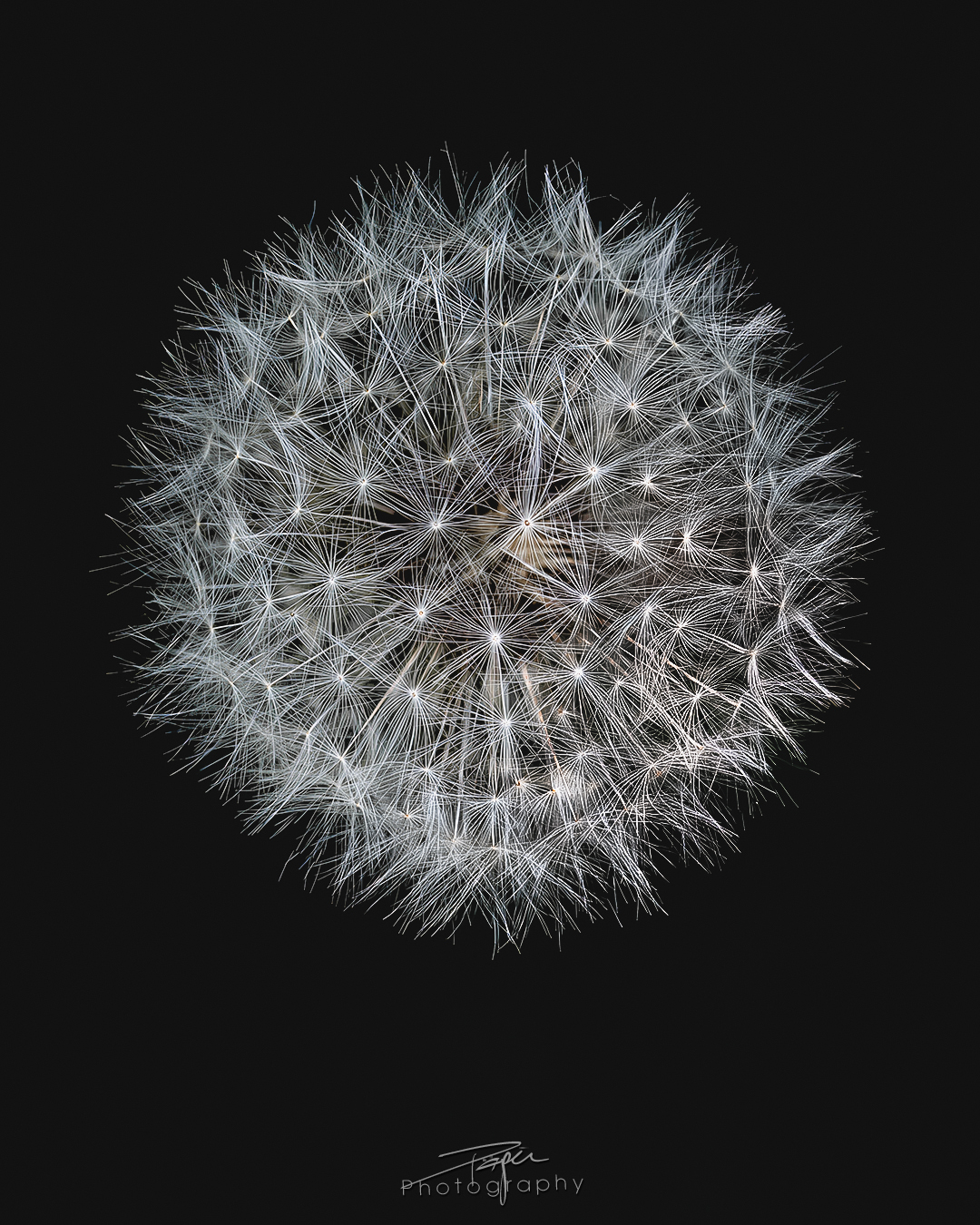 30.04.2025- Frühling