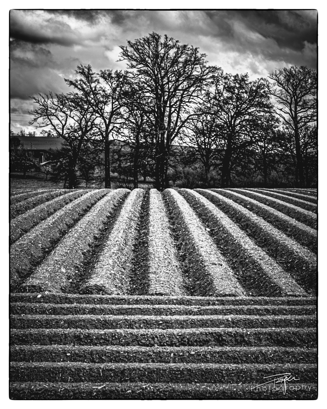 14.04.2025- Frühling