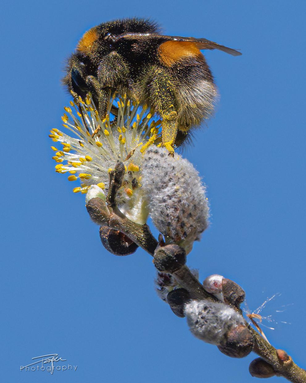 20.03.2026- Frühling