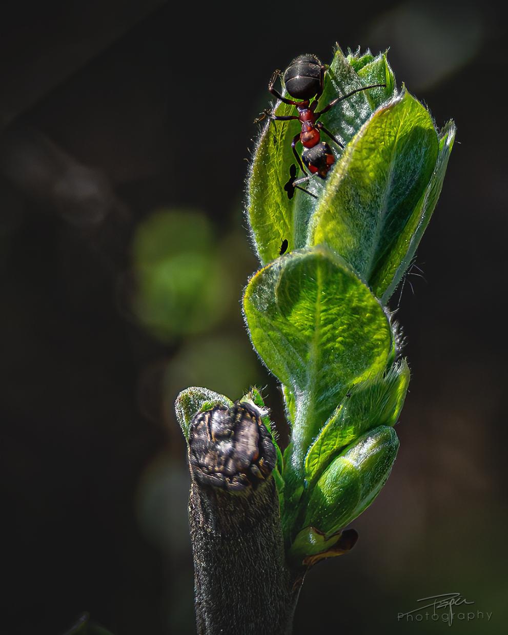 16.04.2026- Frühling
