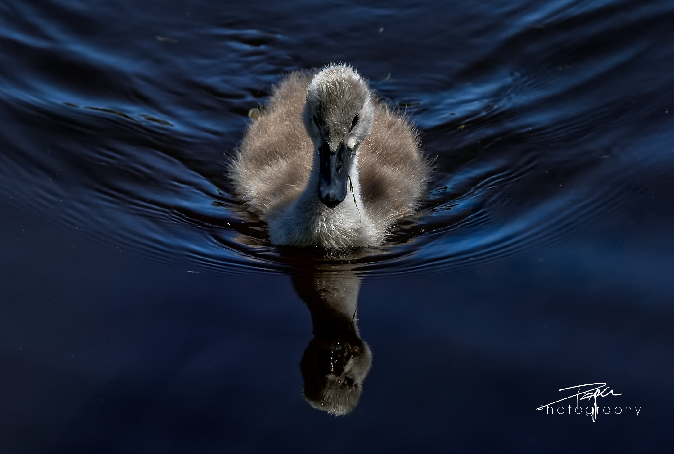 15.06.2021 - Düdinger-Moos