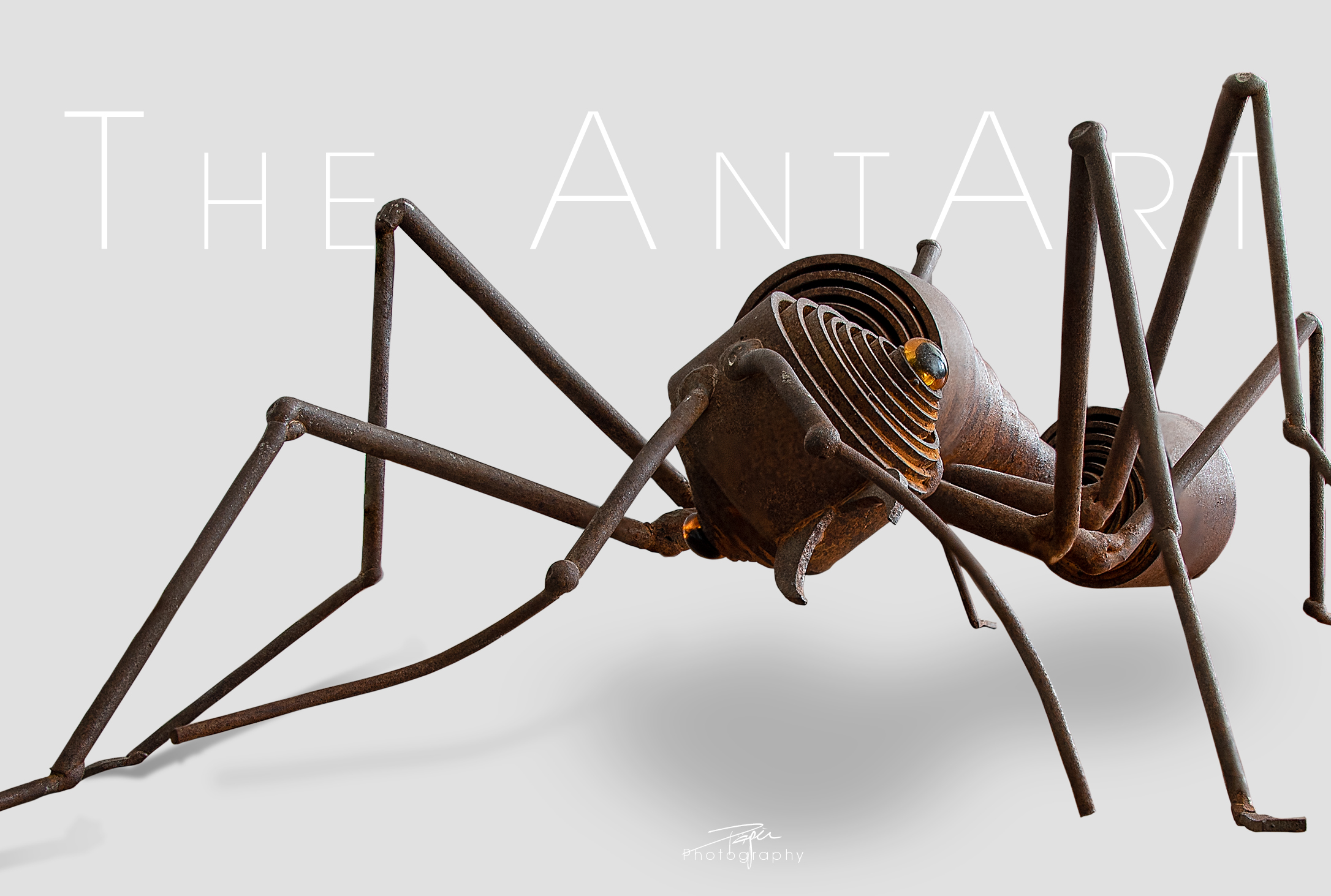 11.07.2021 - The AntArt