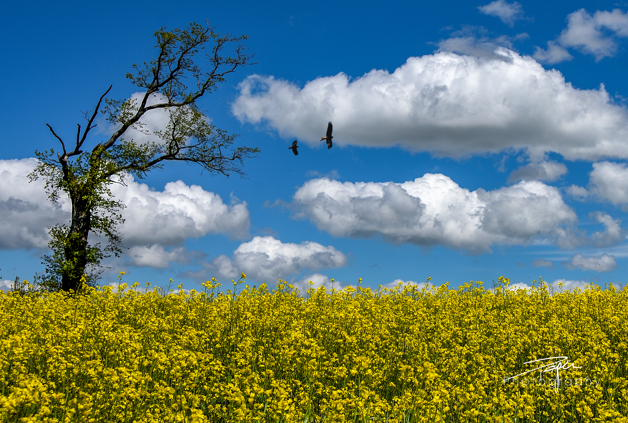22.05.2021 - Frühlingsfarben