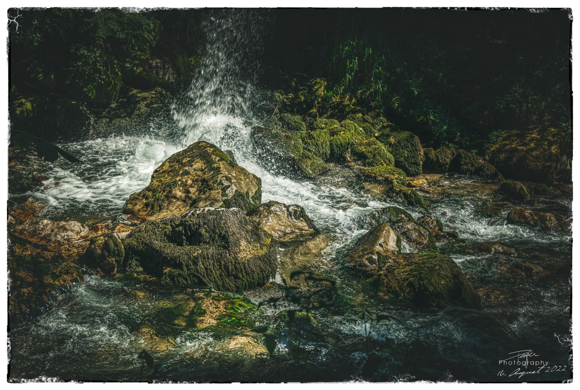 16.08.2022 - Stillleben