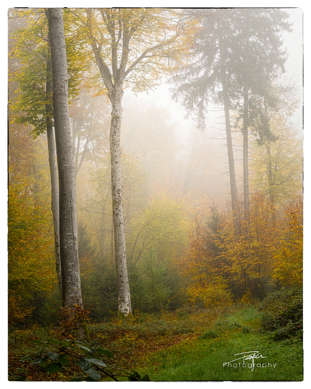 12.11.2022 - Spätherbst