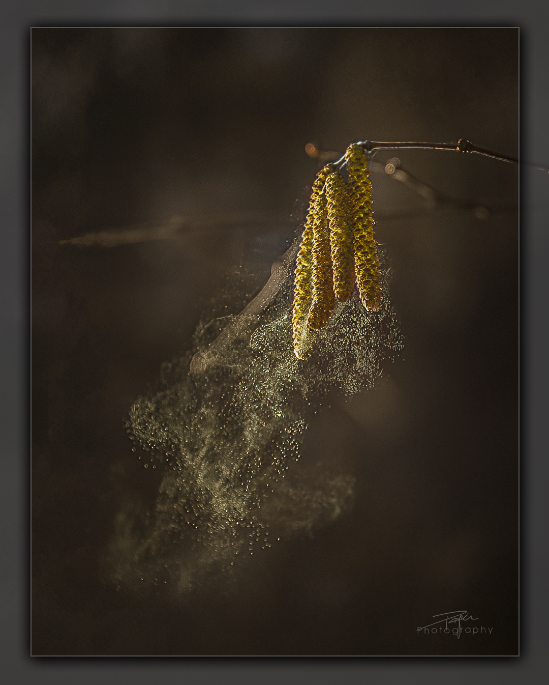 15.02.2023 - Am Waldrand