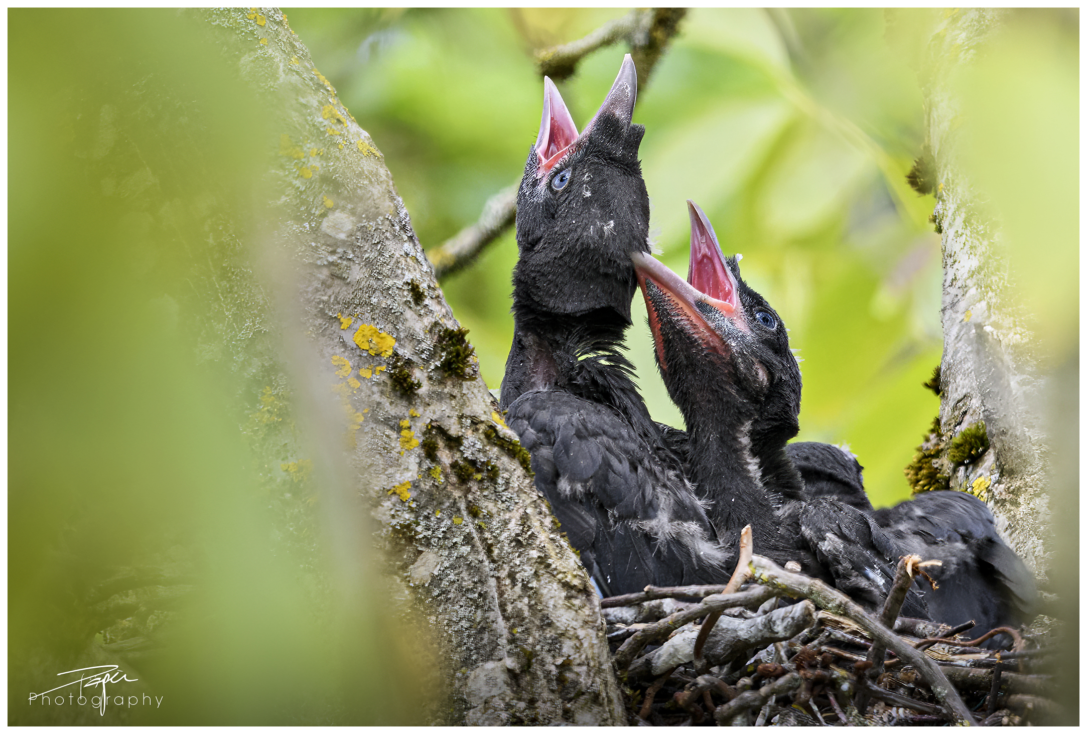 20.05.2024- Frühling