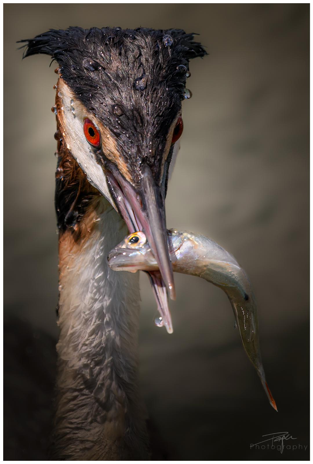 28.05.2024- Frühling