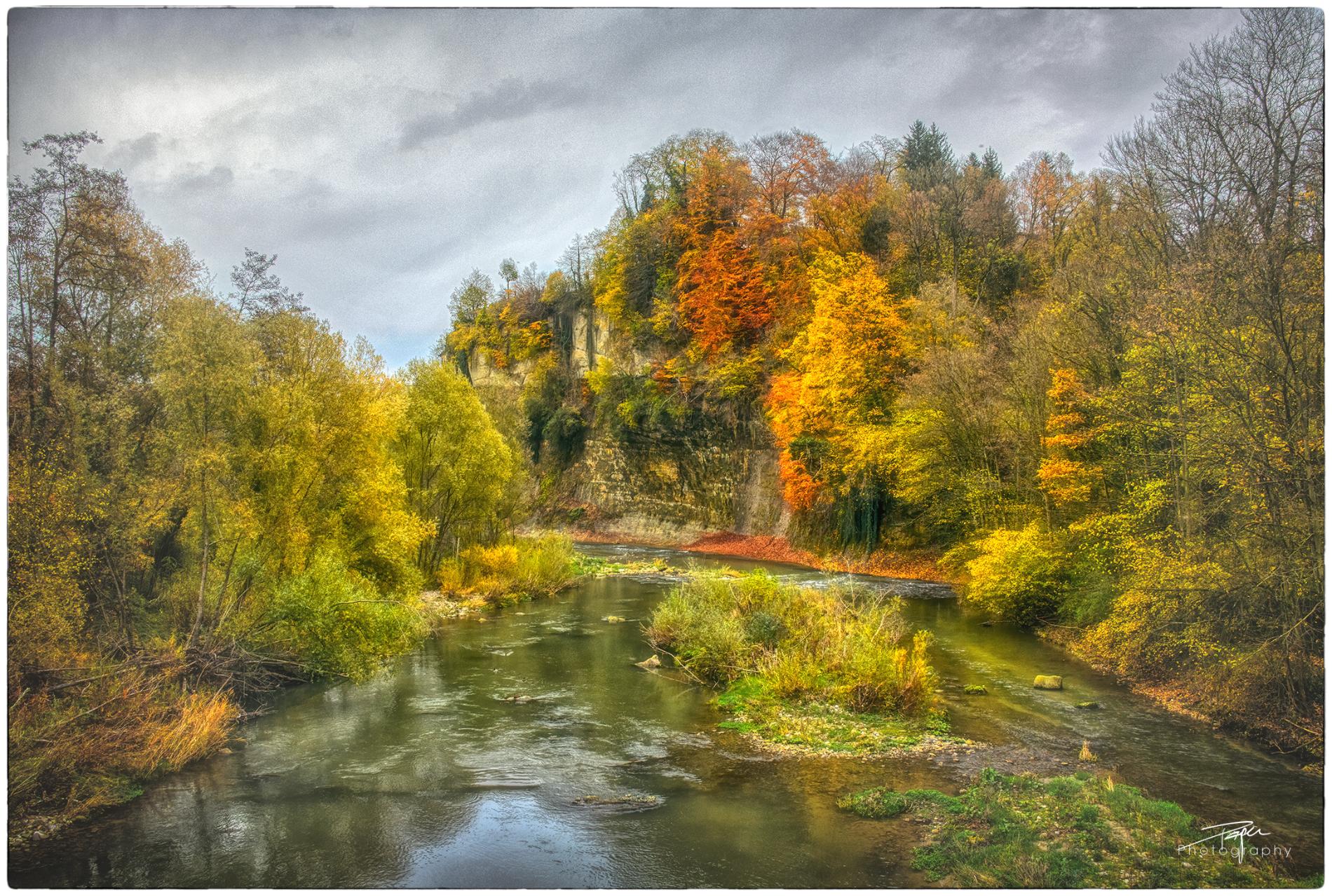 14.11.2022 - The autumn as painter