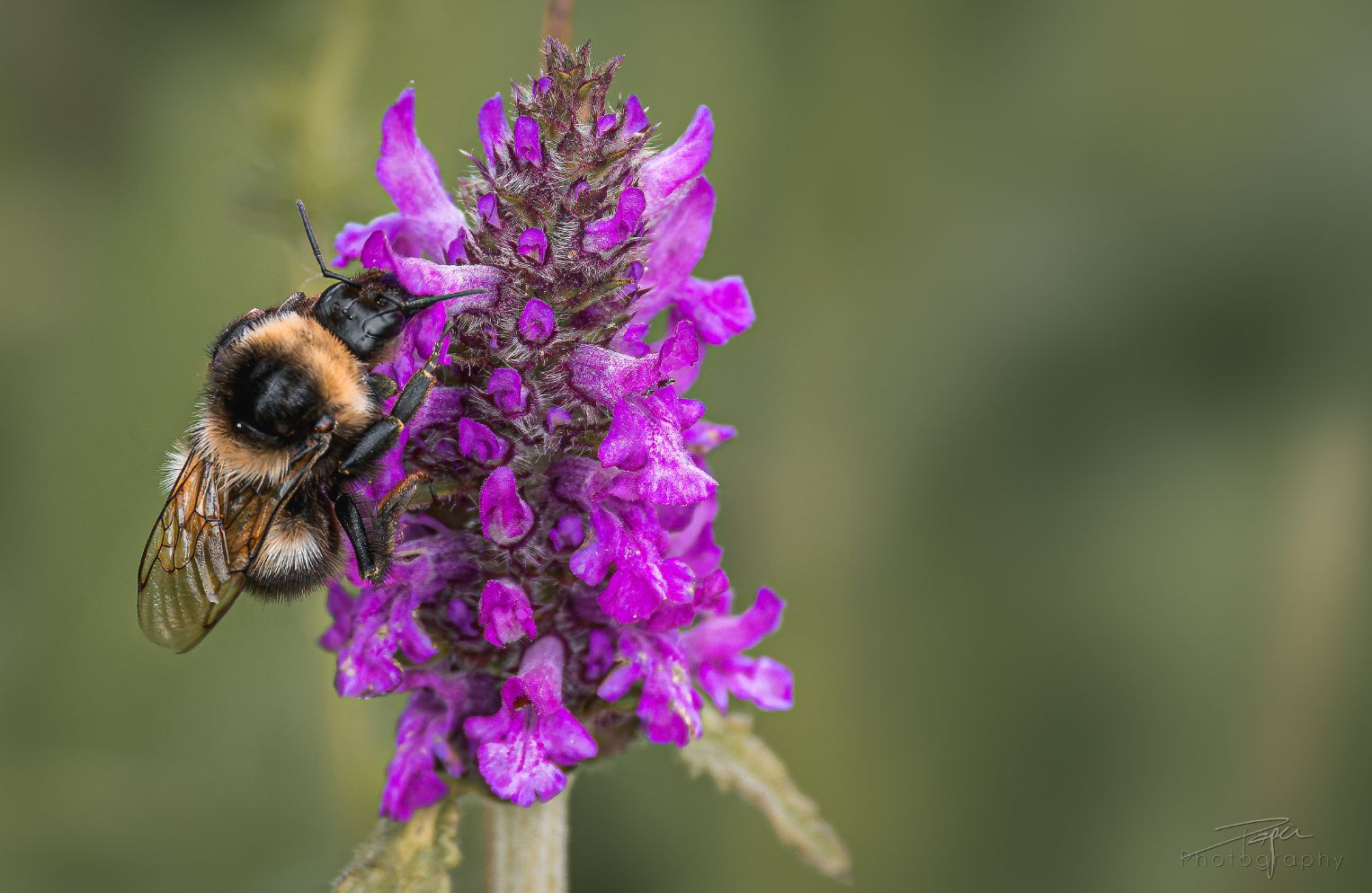02.07.2026- Sommer