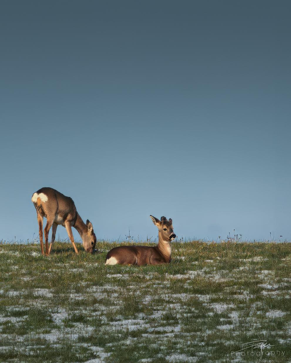 14.01.2026- Winter