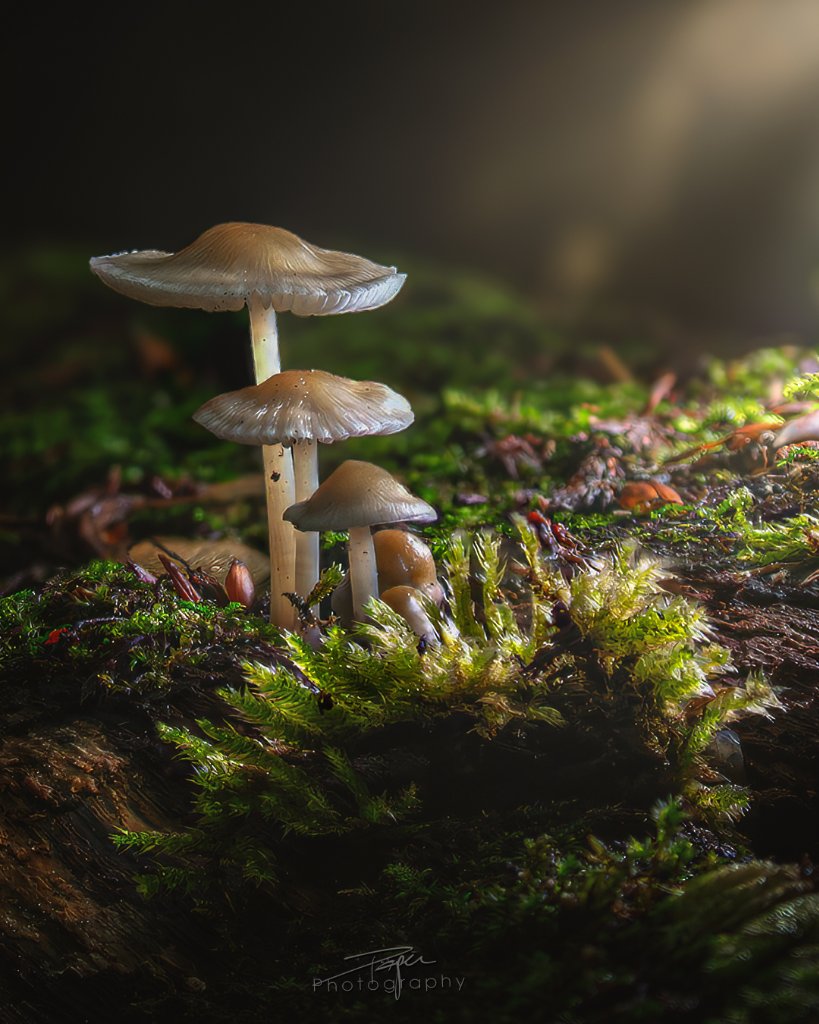 06.10.2026- Herbst