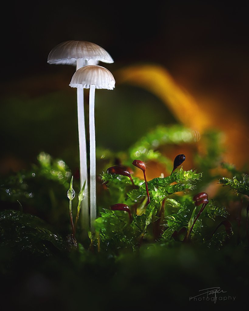 22.10.2026- Herbst