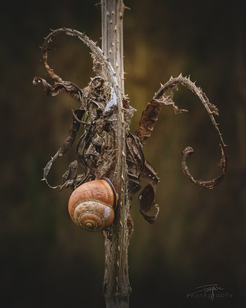 07.10.2026- Herbst